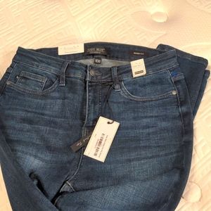 Judy Blue High Waist Skinny